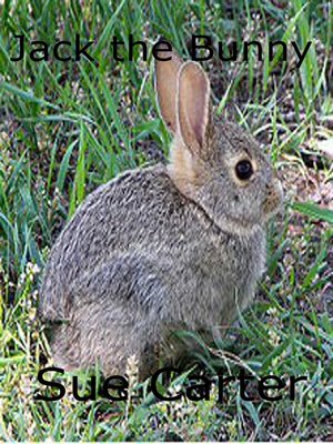 cover image of Jack the Bunny